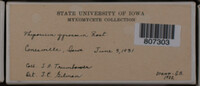 Image Associated With the Occurence